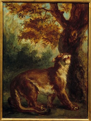 Peintures le Couguar Delacroix Affiche Salon Lumineux