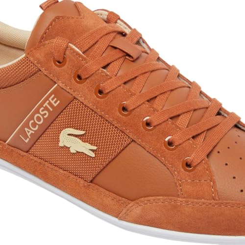 Lacoste Męskie trampki Chaymon Sneaker, Brązowy i biały, 9
