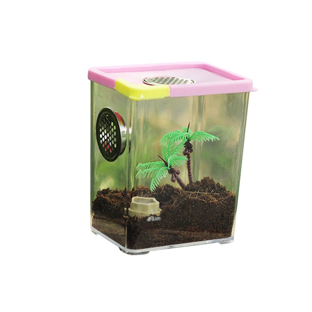 Pomurom 1 Acrylic Reptile Terrarium Cage For Spider, Scorpion, Praying Mantis, Small Snake