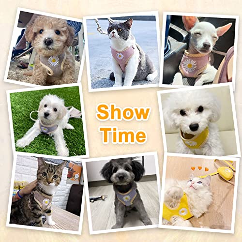 Petcare Cute Small Dog Harness And Leash Set With Bags No Pull Daisy Dog Vest Harness Soft Breathable Mesh Puppy Dog Harness For Small Dogs Cats Spring Summer Yorkies Shih Tzu (Yellow,Small) #TOP4