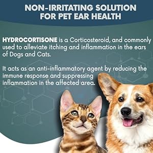 Noveha Pet Ear Drops with 1 Hydrocortisone | Ear Cleaner for Dogs Cats for Earwax Buildup Nosting Formula Calms Itch Reduces Painful Ear Infections 60ml 60ml pack of 2 Cucciolini Doodles Noveha pet ear drops with 1 hydrocortisone | ear cleaner for dogs cats for earwax buildup no sting formula calms itch reduces painful ear infections 60ml 60ml pack of 2 cucciolini doodles