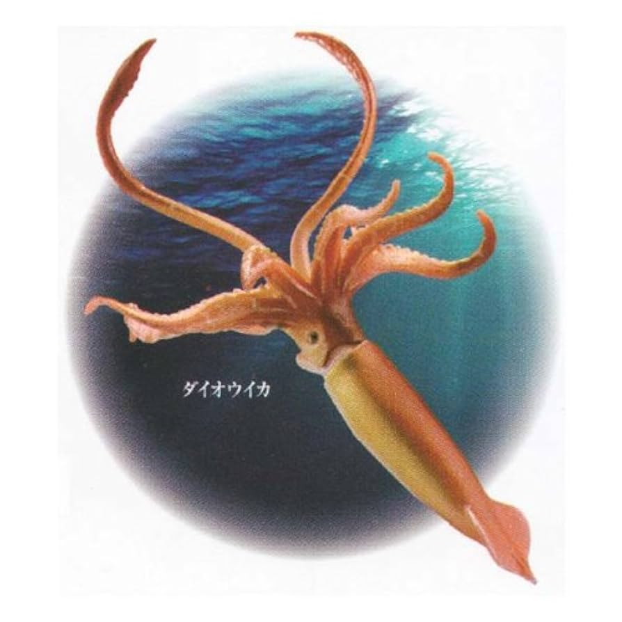 ♯Jvi12Gj カプセルQ 日本の動物3 東京 巨大都市と離島 フル 全13種 カプセルQミュージアム 日本の動物コレクション3 東京/巨大都市