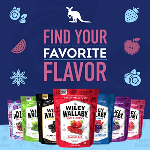 Wiley Wallaby Licorice 10 Ounce Classic Gourmet Soft & Chewy Australian Blueberry Pomegranate Candy Twists, Easter Candy Basket Stuffers, 3 Pack #TOP3
