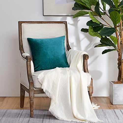 Image of GIGIZAZA Decor Throw Couch Pillow Covers,Sofa Cushion Green Pillow Covers,20 x 20 Pillow Velvet Cushion Covers (Peacock Green, 20 x 20- Set of 2)