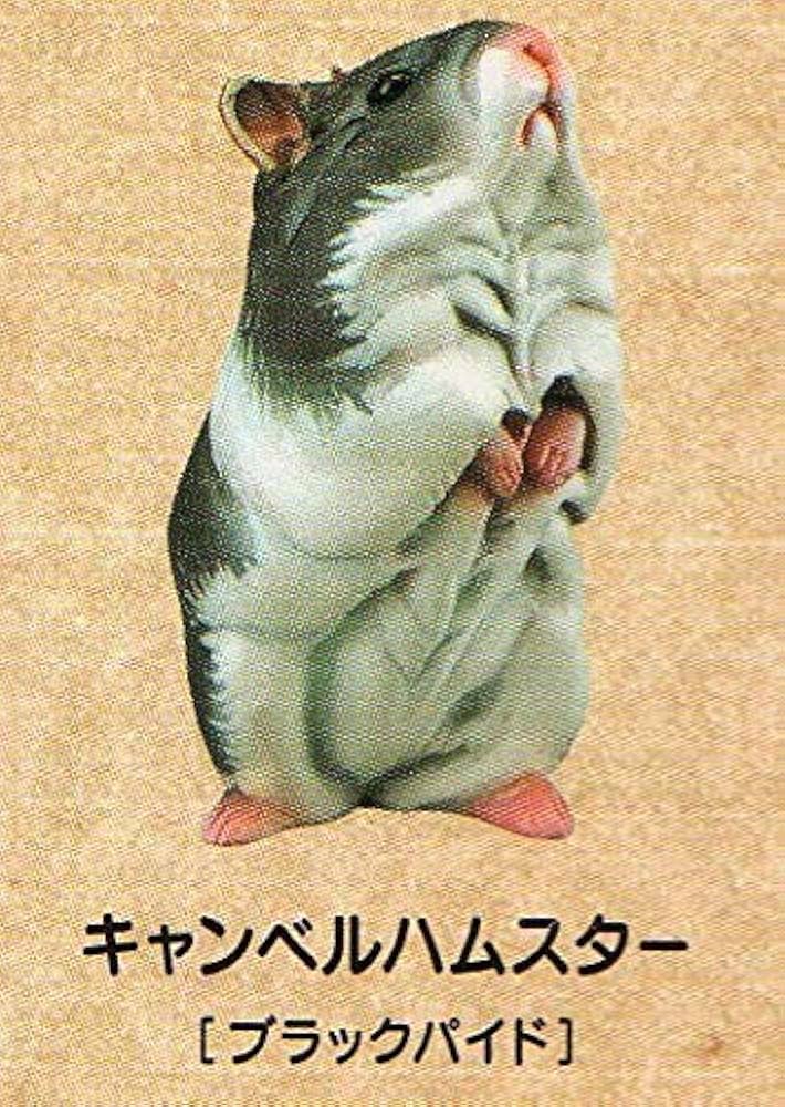 ★ハムスターズランチ「ひま種」フルコンプ★全12種＋シークレット4種◇北陸製菓 ☆ハムスターズランチ「ひま種」フルコンプ☆全12種＋