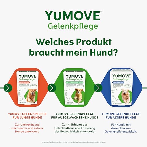 YuMOVE Gelenktabletten Hund Bis 5 Jahre 60 Stück - Patent Angemeldet ActivEase Grünlippmuschel Hund & Glucosamin Junge Hunde - Frühzeitige Unterstützung Gelenke & Beweglichkeit - Hunde Gelenktabletten