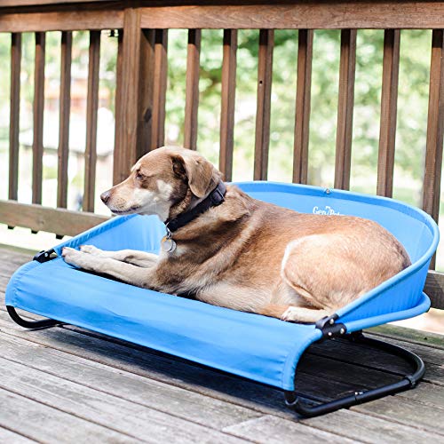 The 14 Best Cot Dog Beds of 2022