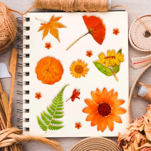 120 flores secas prensadas para artesanías y decoración miniatura 6