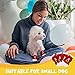 AUAUY Indoor Anti-Rutsch Socken für Hunde und Katzen, Pet Socken, Hundesocken Anti Rutsch Pfotenschutz und Traktion Dank Silikon-Gel 2 Größen für Kleine-Mittlere Tiere(Schwarz M)