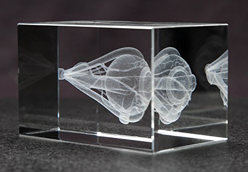 Eye 3D Laser 1Lb Crystal, Anatomy, Ophthalmology #TOP4