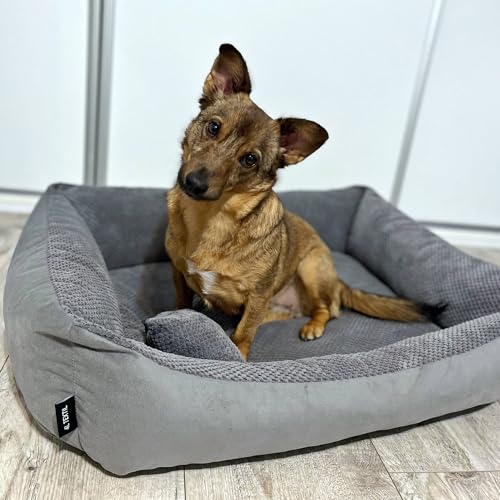 4L Textil Hundebett große Hunde Grau Hundebett abwaschbar Hundekorb große Hunde Hundekissen XL Hundekörbchen flauschig Hundesofa (120x100 cm, Dunkelgrau)