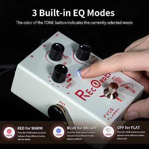 Image of FLAMMA FV05 Recorder Vocal Effects Processor with 70 Minutes Recording Capacity Noise Gate & Reverb Effects for Vocal Guitar Reverb Looper Stompbox for Singer Songwriting Record Creative Inspiration