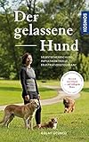 Der gelassene Hund: Selbstbeherrschung, Impulskontrolle, Frustrationstoleranz - Gülay Ücüncü