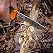 Morakniv Companion Sandvik Stainless Steel Fixed-Blade Knife with Sheath, 4.1 Inch