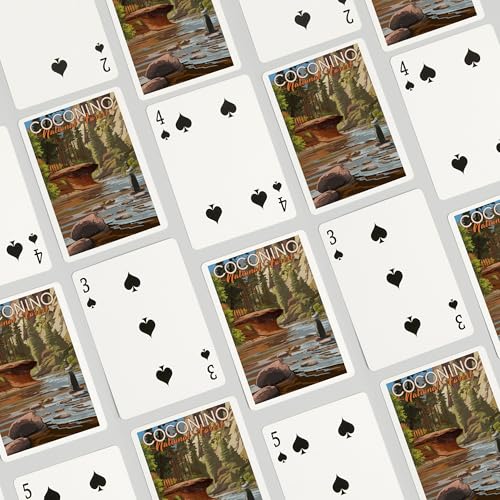 Baraja de Cartas Lantern Press Coconino Poker 52 Pzs miniatura 4
