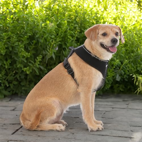 Image of Voyager Aerolite Over The Head Dog Harness, No Pull Breathable Air Mesh Vest, Quick Dry with Reflective Stitching, Adjustable Escape Resistant Harness for Small Medium Large Dogs - Black, Large