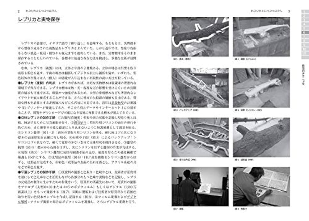 Amazon.co.jp: 展示学事典 : 日本展示学会: 本