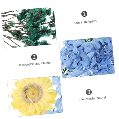 Flores secas naturales para manualidades DIY pack 1 miniatura 4