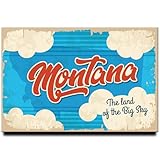 Magnet for refrigerator or locker UV protect True colors Great gift Good for collection