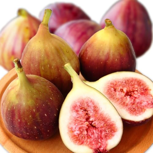 いちじく とよみつひめ 約1.2kg(300g×4パック) [☆2026年出荷☆][8月上旬-10月中旬頃出荷(土日祝除く)]