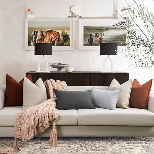 Image of ZWJD Beige Pillow Covers 18x18 Inch Set of 2 Chenille Throw Pillow Covers with Elegant Design Soft and Luxurious Decorative Throw Pillows for Couch, Bed, and Home Decor(Beige)