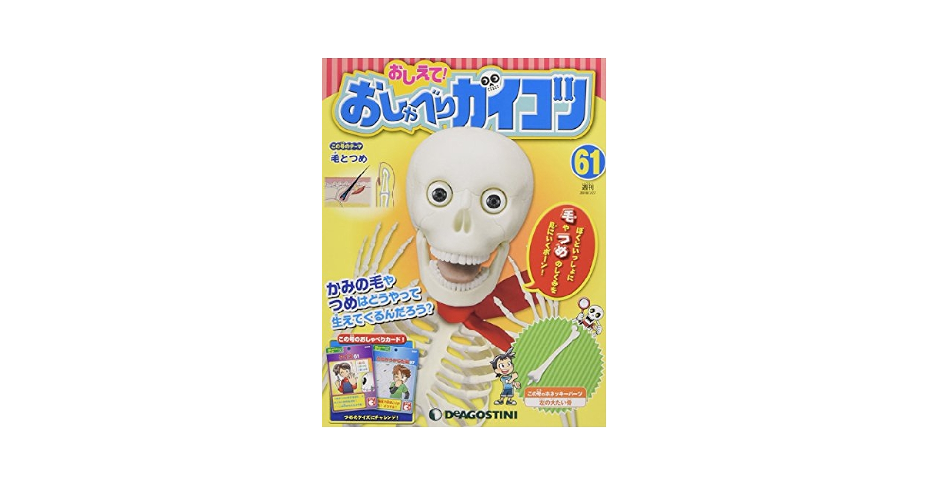 おしゃべりガイコツ しゃべる人体模型を組み立ててからだを学ぼう】週刊「おしえて