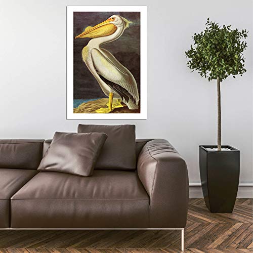 Impression d'art encadrée Pelican de John James Audubon format Grand Mat