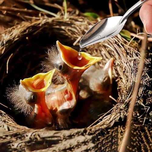 Niwugady Vogelfutter Set, 20 ml mit 6 gebogenen Hohlröhrchen, 2 Edelstahl-Futterlöffeln Vogelfutterstation Papageien-Futterröhrchen, 20 ml + 6 Nadeln + Löffel