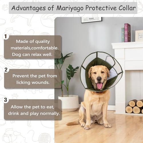 Image of Dog Cone for Dogs After Surgery, Soft Dog Cones for Large Medium Small Pets, Adjustable Collar for Pets to Stop Licking, Lightweight E Collars Elizabethan for Dogs (Green Cone, M)