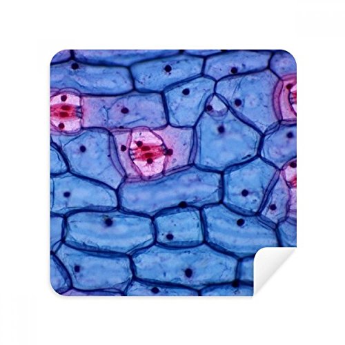 Chiffon bioplast microcosmique anti-rayures pour nettoyer écran de téléphone et lunettes sales