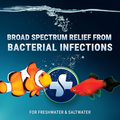 Fritz Maracyn - for Saltwater and Freshwater gram-Positive Relief from Bacterial gil, Popeye, More - Easy dose Packets, 20 Count - Image 3