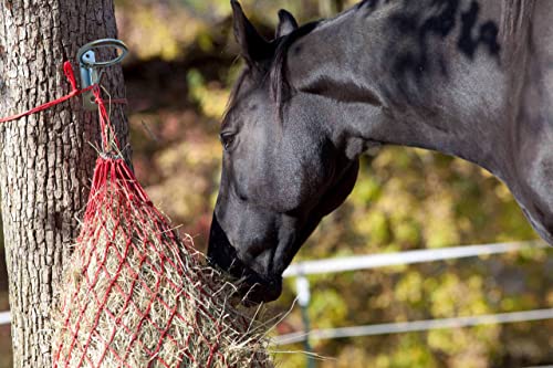 SUKEYME Horse Feed Bucket Hook,Water Bucket Holder Hanger for Horse Stall/Stable Supplies (2 Pack)