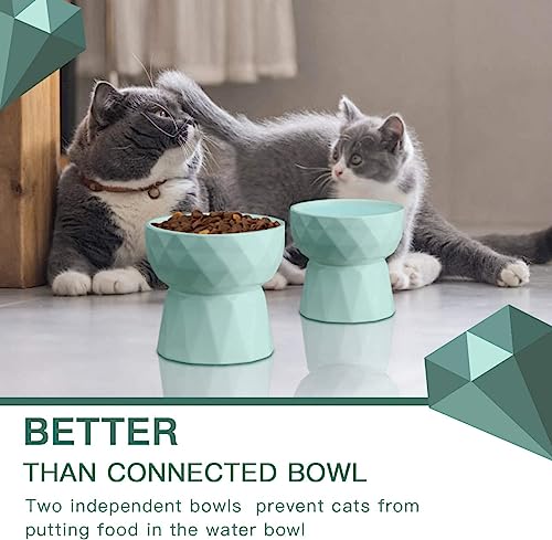 Image of PETANGEL Cat Ceramic Eelevated Anti Vomiting Pet Food Bowl (Pack Of 1 (Oval Mint Green)),?12.5 cm,H 11.5 cm,W 11.5 cm