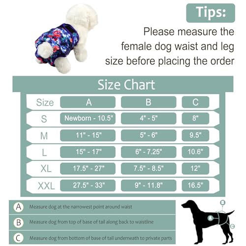 Image of Female Dog Diapers 5Pcs - Premium Reusable Diapers for Doggie in Heat - Highly Absorbent Dog Diapers Female for Pet Incontinence with Adjustable Snaps, Rose, XL