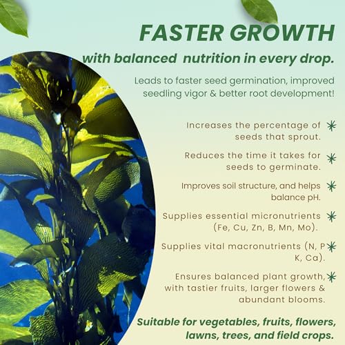 Image of Utkarsh Liquid Seaweed Extract | Organic Plant Growth Promoter for Healthy Plants | Enhances Flowering & Improves Fruit Set | Biostimulant For Home Garden - Zymoz (2 Liter; Pack of 2 of 1 Litre)