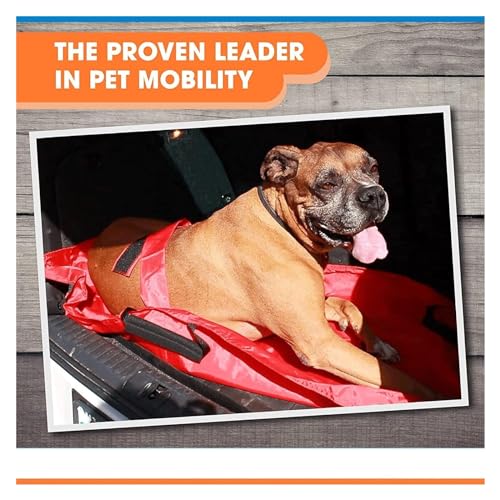 Tragbarer Pet Stretcher für Hunde – Notfall-Tiertransport-Bahre mit Sicherheitsgurt, faltbar & leicht, sichere Tragelösung in Blau, Einheitsgröße
