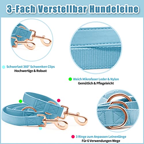 Weich Leder Hundehalsband und Leine (2m) Set - 3-Fach Verstellbar Hundeleine mit Halsband, Stilvollen Rose Gold Metall Schnalle & Nylon Hund Leinen für Welpen Kleine Mittlere Große Hunde HellBlau,S