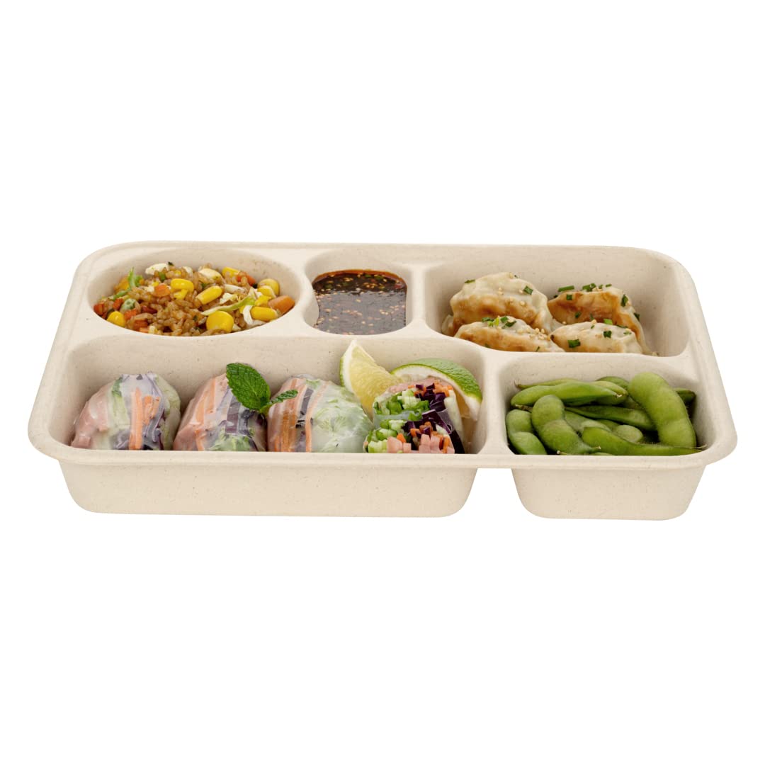 Restaurantware Pulp Tek - Recipientes de 1,219.0 g para llevar, 100 recipientes sostenibles, tapas se venden por separado, 5 compartimentos, platos de bagazo hechos de fibras de caña de azúcar, aptos