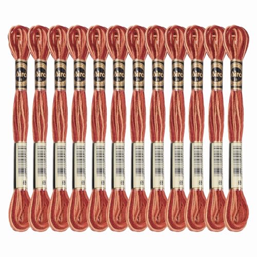Image of PATIKIL 12 Skeins Embroidery Floss, Polyester Embroidery Threads Bracelets String for Cross-Stitch Hand Embroidery, Brown Red