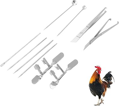 10pcs Chicken Capon Tool, Stainless Steel Farm Livestock Breeding Chicken Hen Rooster Capon Tool Equipment Hatchery Kit