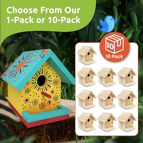 SparkJump Jr Bird House Kit | DIY Birdhouse Kits Made of Cedar Wood for Outdoors | Birdhouse Kits for Kids and Adults with Paint | Bird House Making Kit for All Ages (1 Pack)