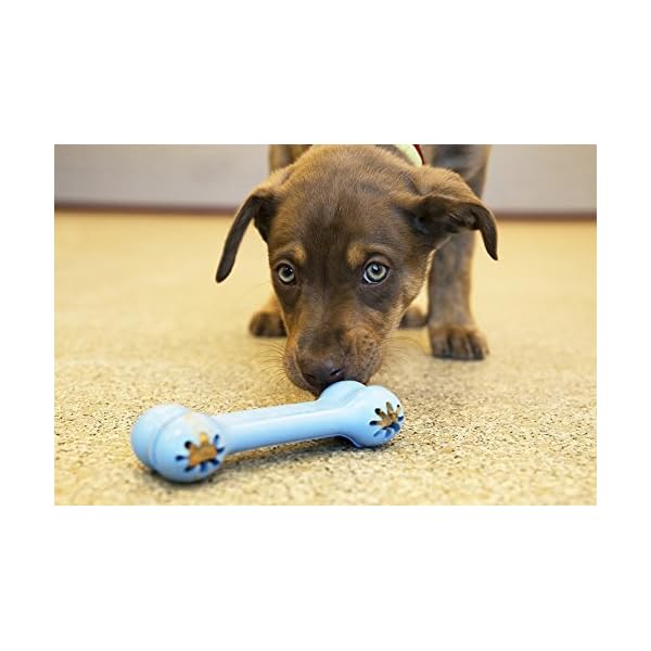 KONG Puppy Goodie Bone Dog Toy, Small, Assorted Pink/Blue (2-Pack) KONG Puppy Goodie Bone Dog Toy, Small, Assorted Pink/Blue (2-Pack)