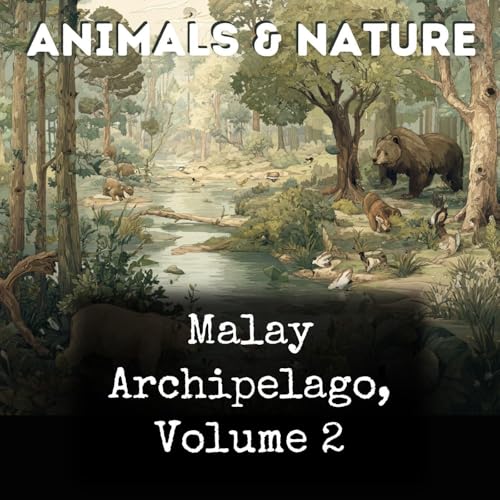 Malay Archipelago, Volume 2 cover art