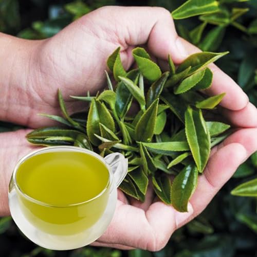 Té verde en saquitos con arroz integral tostado 100 unidades miniatura 5
