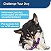 PetSafe Busy Buddy Jack - Keeps Dog Busy - Includes Treats Refill - Treat Holding Dog Toy - Helps Clean Teeth - Durable Rubber - Strong Chewers - Dishwasher Safe - Medium - Purple