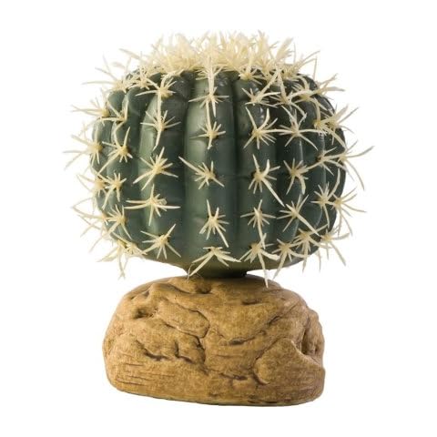 Exoterra Cactus Oursin pour Reptiles Cover