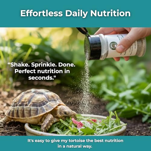 image for Tortoise Resource Center Sulcata Tortoise Calcium Powder - Herpetologi