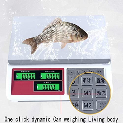 Báscula electrónica de alta precisión 30kg acero inox miniatura 3