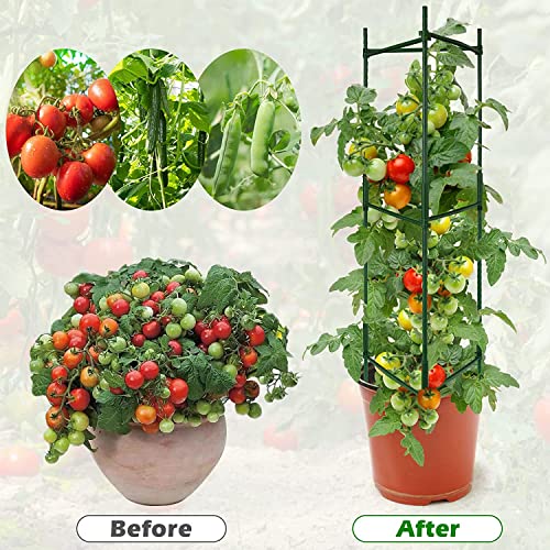 Naorwoy Tomato Cage - Premium Tomatoes Plant Stakes Support Cages Trellis For Garden And Pots ，Multi-Functional Climbing Vegetablescages Trellis(51 Inches，3 Pack #TOP5