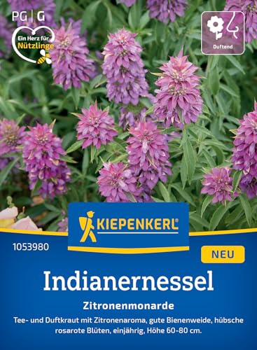 Kiepenkerl Indianernesselsamen Zitronenmonarde 1053980 - Intensiver Zitronenduft, Lockt Bienen & Schmetterlinge an, Kräutersamen für Tee & Limonade, Indianernessel exotisch Kiepenkerl Indianernesselsamen Zitronenmonarde 1053980 - Intensiver Zitronenduft, Lockt Bienen & Schmetterlinge an, Kräutersamen für Tee & Limonade, Indianernessel exotisch